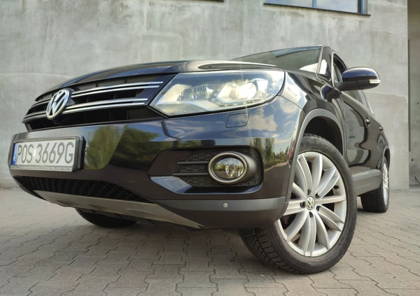 Volkswagen Tiguan cena 43000 przebieg: 32200, rok produkcji 2012 z Annopol małe 191